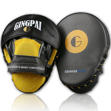 GINGPAI Punch / Focus Mitts